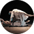 Сон